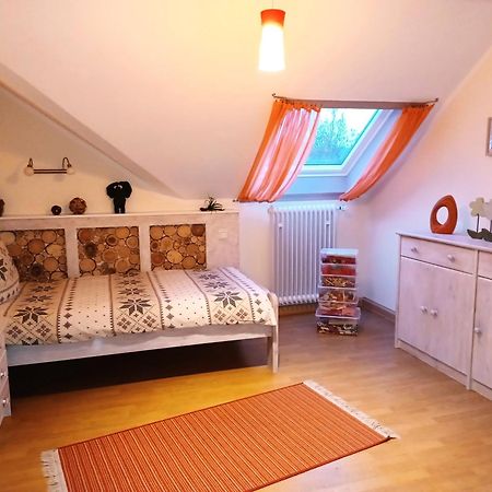 Ferienwohnungen Finke Frankenau Extérieur photo