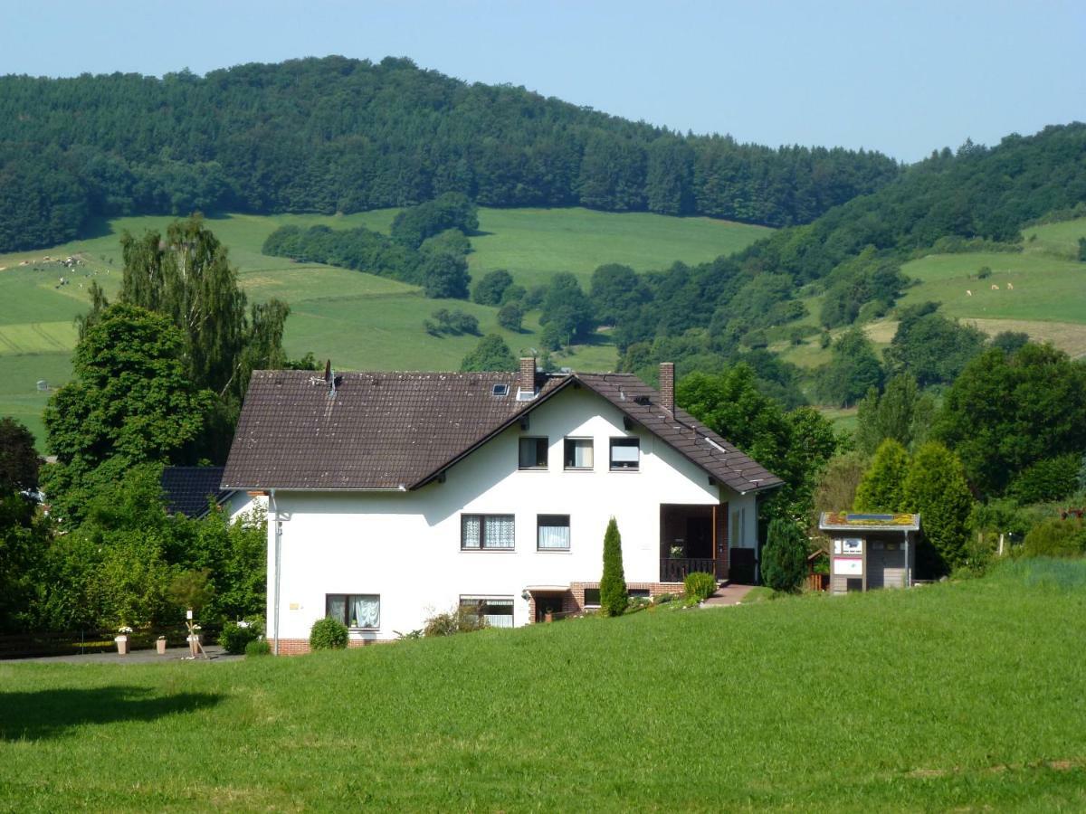 Ferienwohnungen Finke Frankenau Extérieur photo