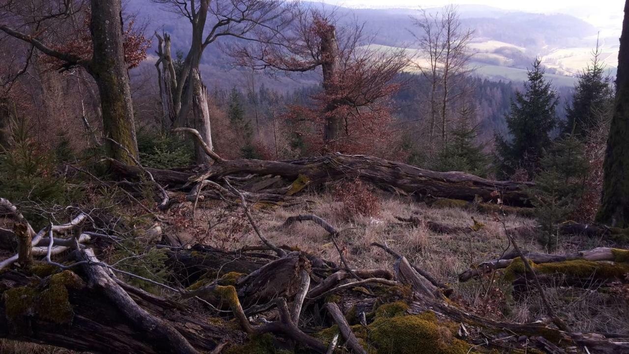 Ferienwohnungen Finke Frankenau Extérieur photo
