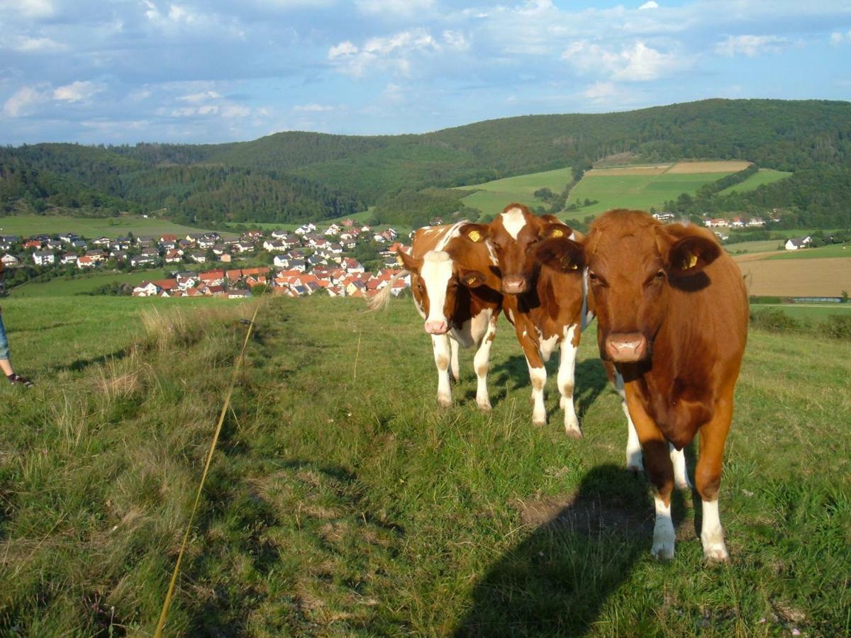 Ferienwohnungen Finke Frankenau Extérieur photo