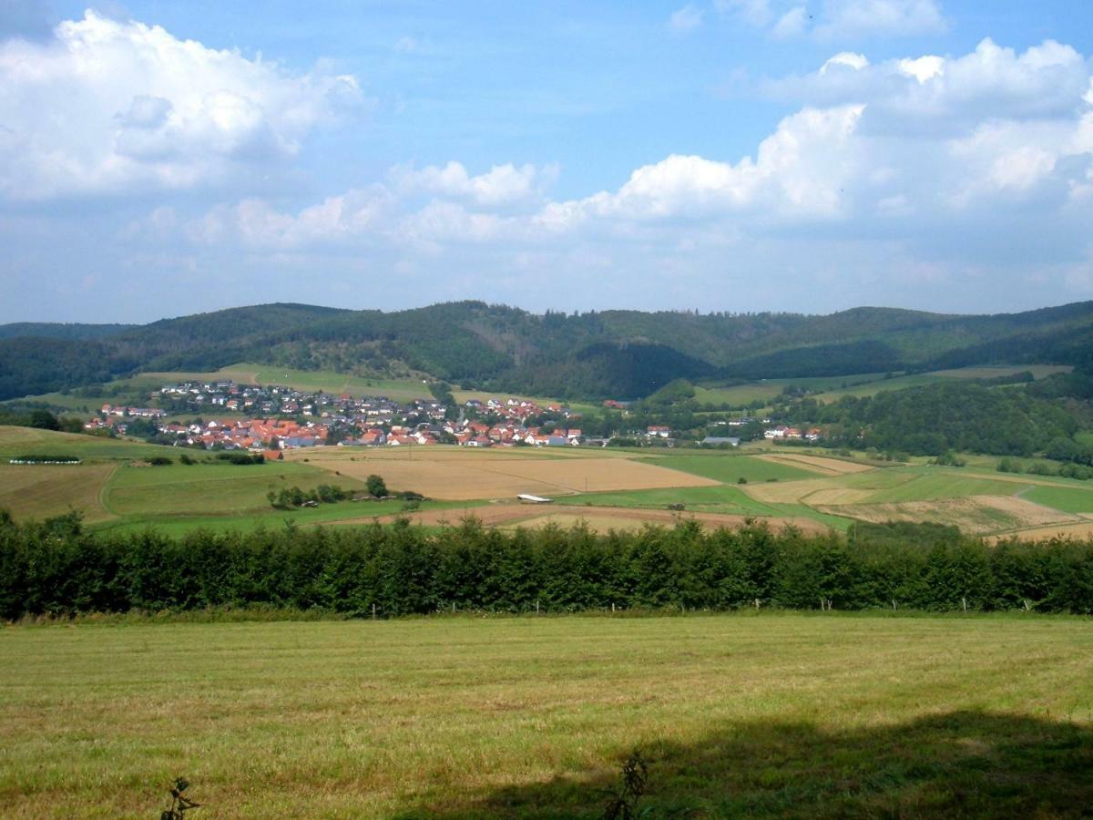 Ferienwohnungen Finke Frankenau Extérieur photo