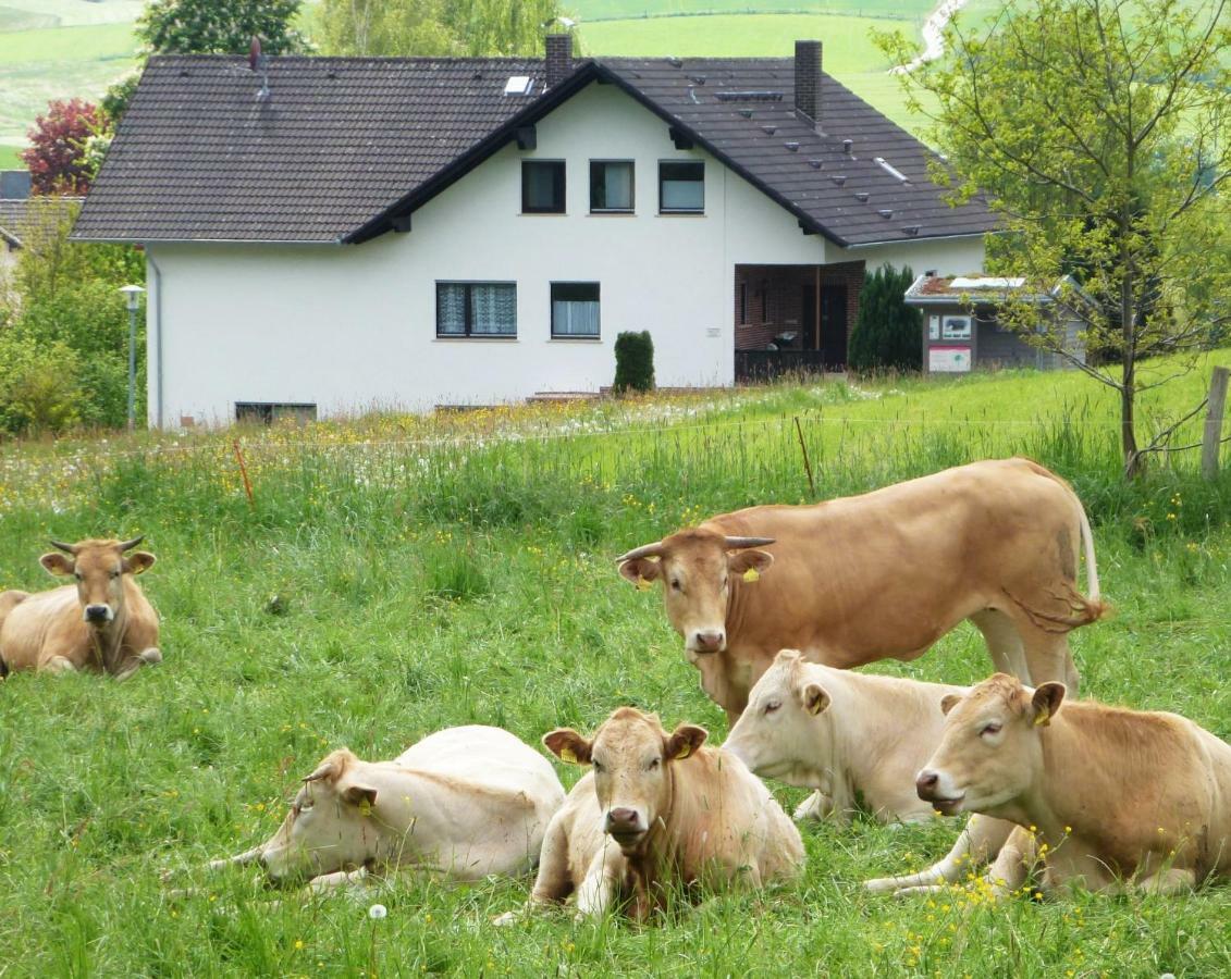Ferienwohnungen Finke Frankenau Extérieur photo